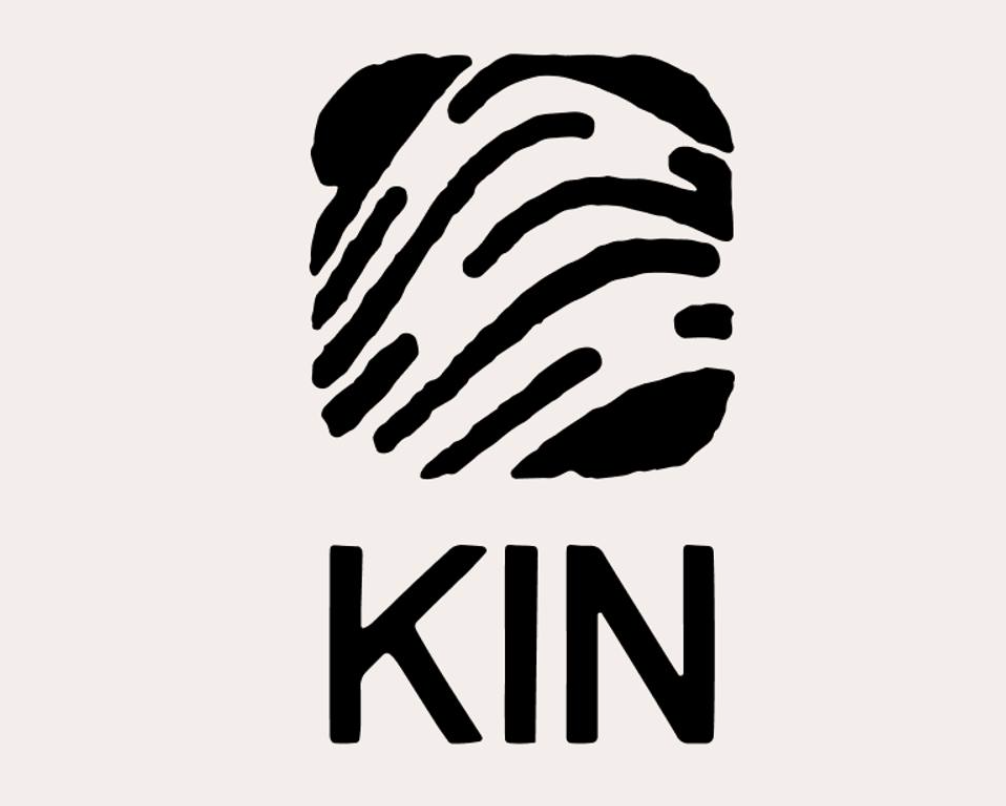 Kin AI